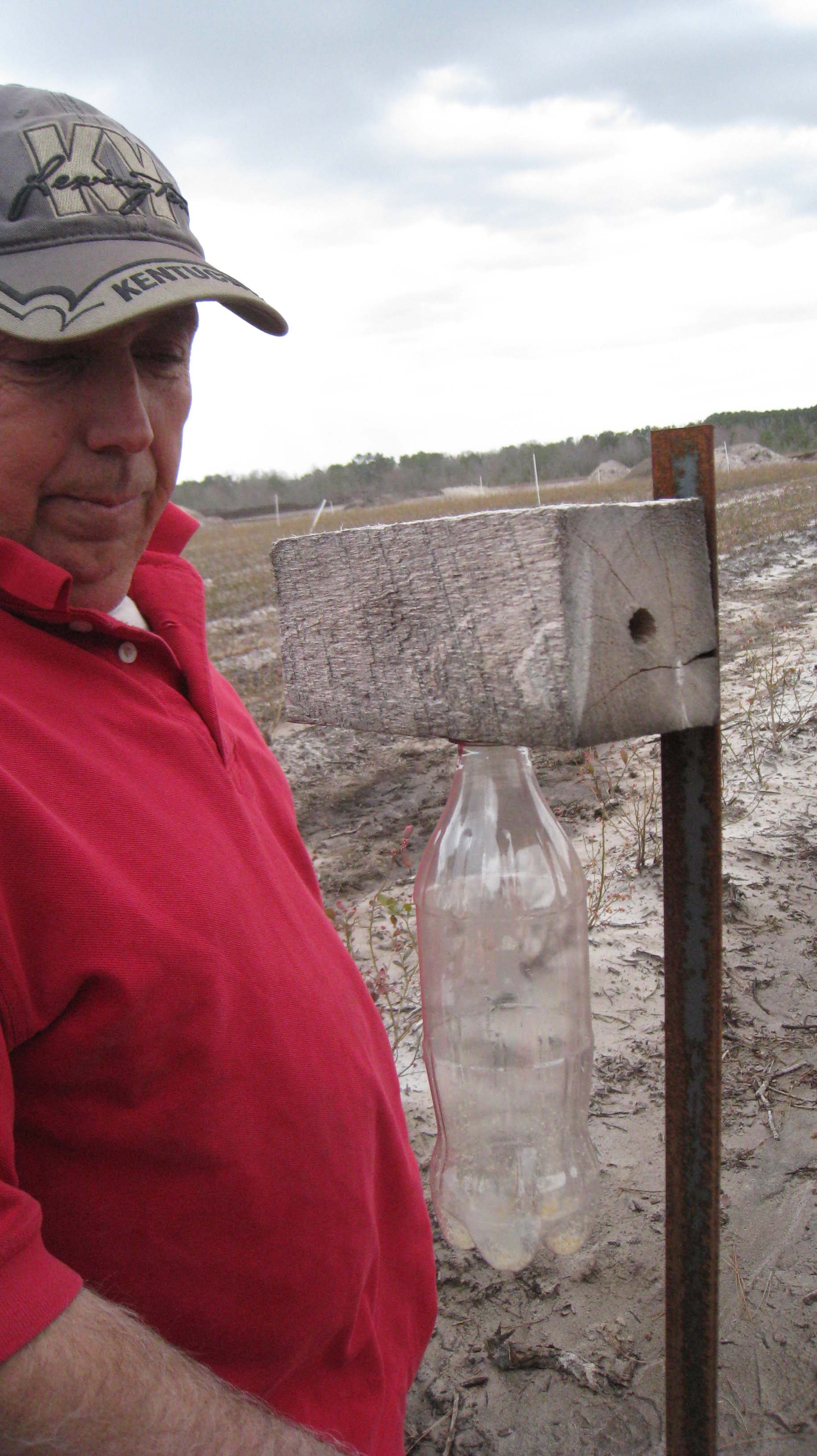 Bill checks the Carpenter Bee traps